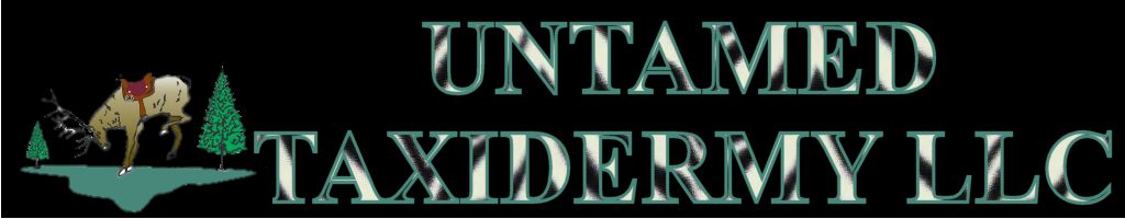 Untamed Taxidermy - Haden Idaho